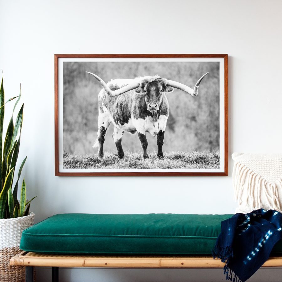 longhorn-print-art