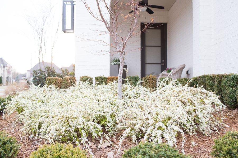 Spring-front-porch