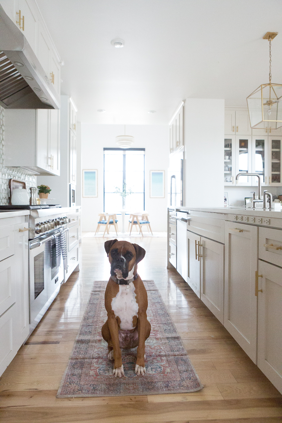 10 Beautiful Kitchen Runners for Your Home kitchen runner with wood floors and white cabinetry with a boxer dog sitting on top of the carpet