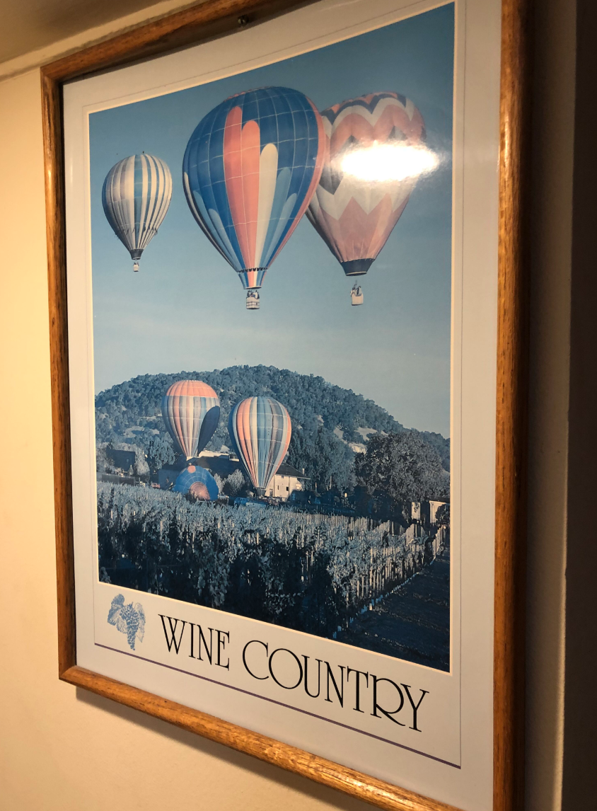portrait of hot balloon rides in wine country california