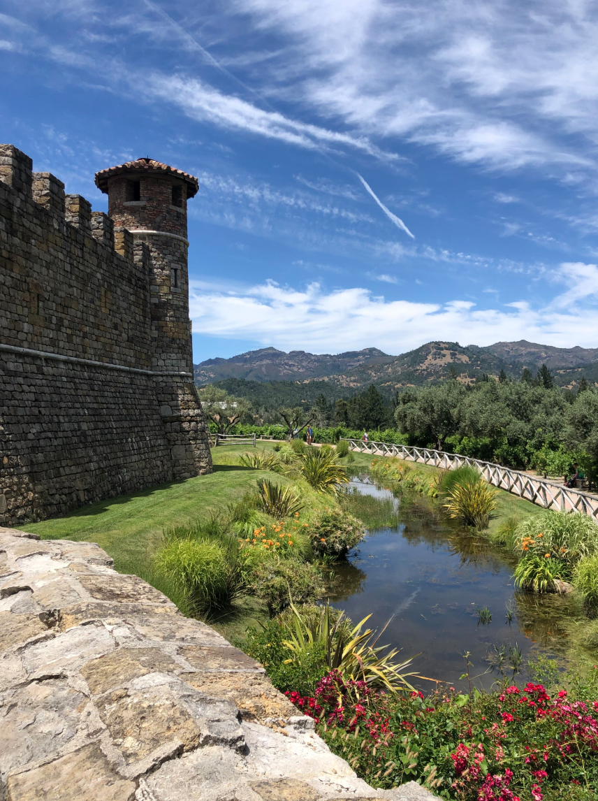 beautiful castle overlooking mountains with a view