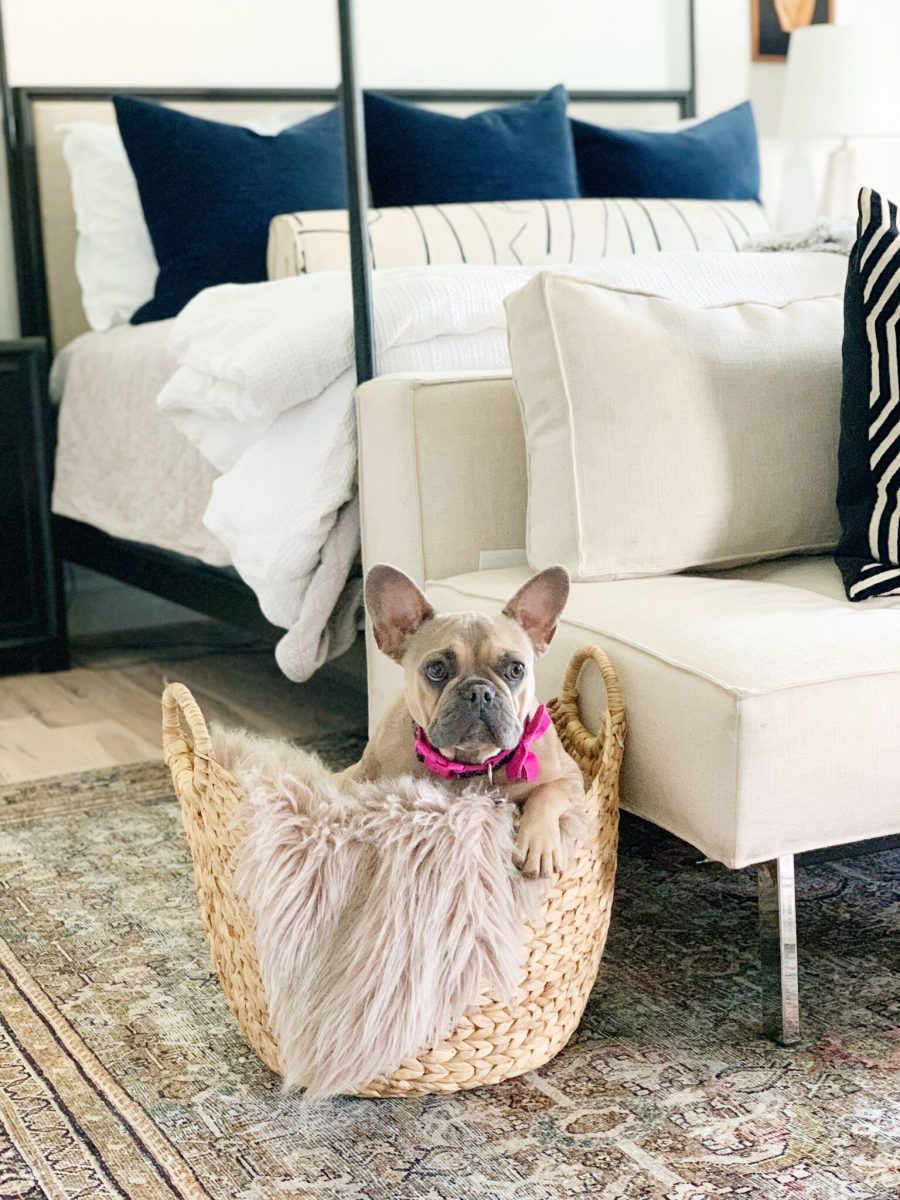 Coastal Master Bedroom Design with Walmart Home Frenchie in a seagrass basket in front of an iron canopy bed