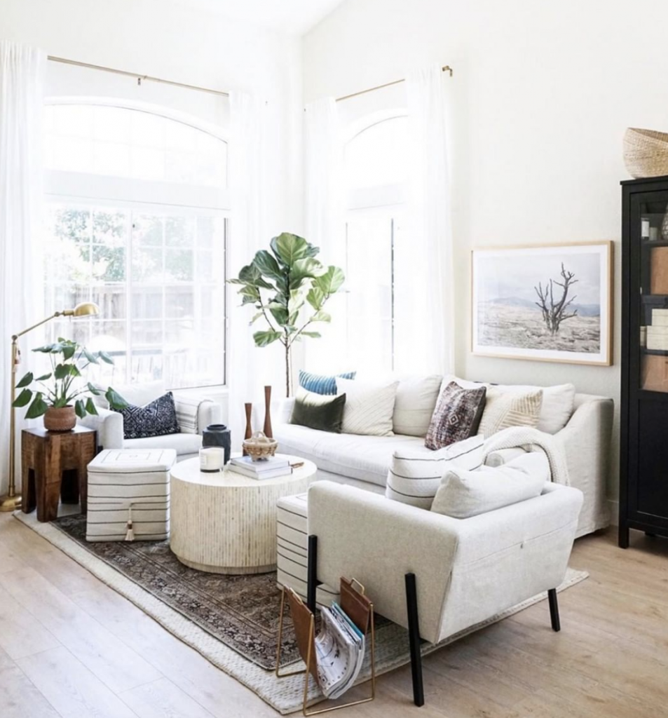 CC and Mike Labor Day Sales white walls with large picture windows white couch with wood coffee table on an olive charcoal layla area rug with a fiddle leaf fig in the corner and custom framed tree art